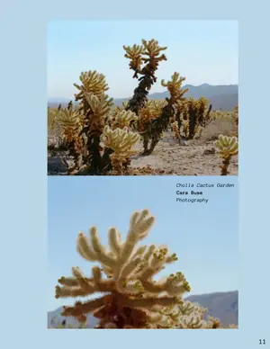 Cara Buse's page in Earth