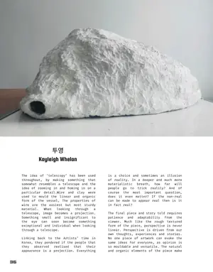 Kayleigh Whelan's page in Mercury