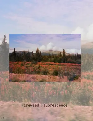 Oasis & Glacier's page in Earth