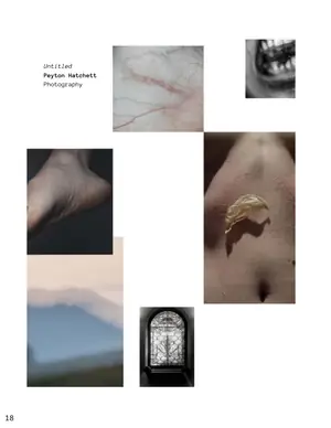 Peyton Hatchett's page in Earth