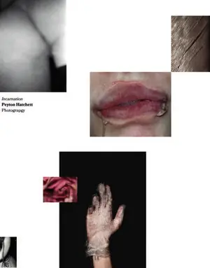 Peyton Hatchett's page in Venus